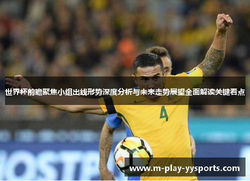 世界杯前瞻聚焦小组出线形势深度分析与未来走势展望全面解读关键看点